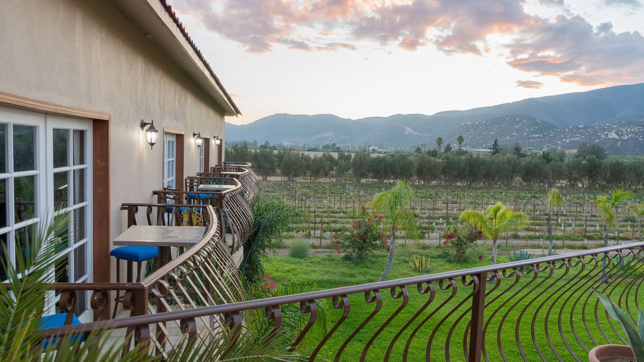 Photo of Others in Valle de Guadalupe