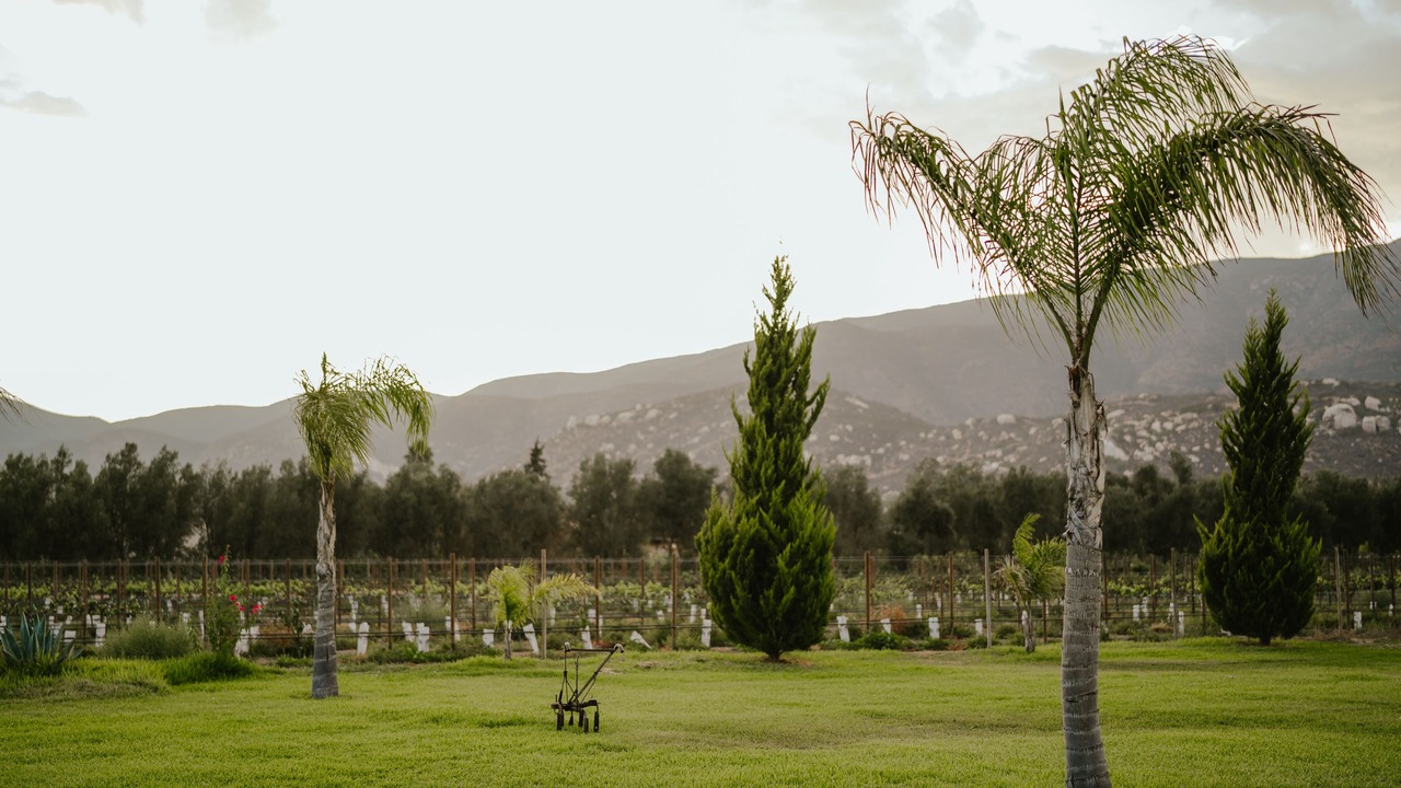 Photo of Others in Valle de Guadalupe