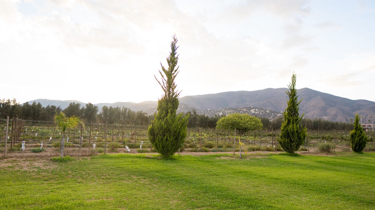 Photo of Outdoor in Valle de Guadalupe