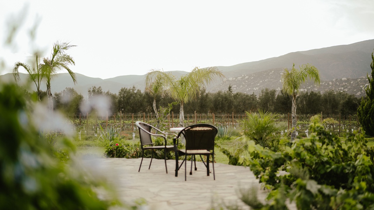 Photo of Patio Balcony in Valle de Guadalupe