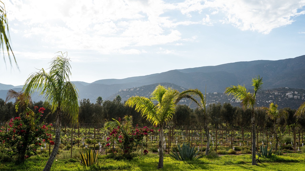 Photo of Outdoor in Valle de Guadalupe