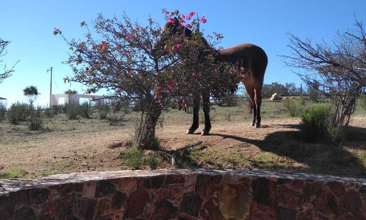 Photo of Outdoor in San Antonio de las Minas