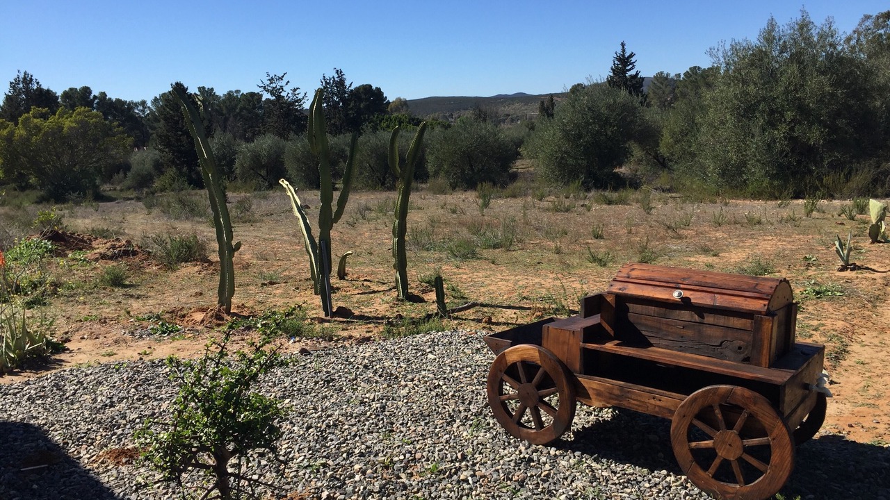 Photo of Outdoor in San Antonio de las Minas