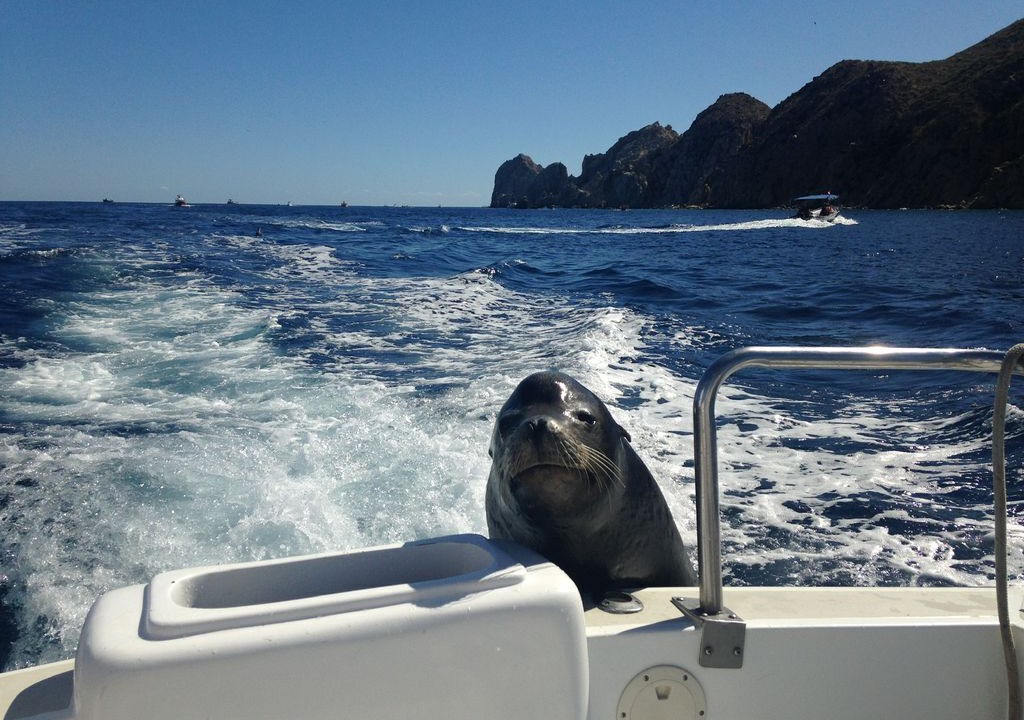 Photo of Others in Cabo San Lucas