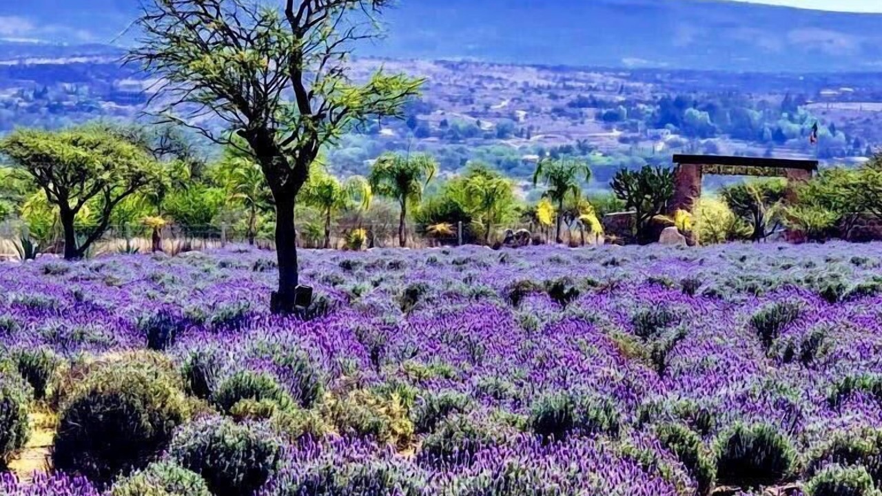 Photo of Outdoor in Atotonilco