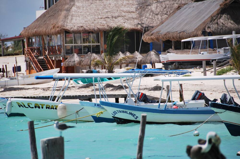 Photo of Others in Puerto Morelos