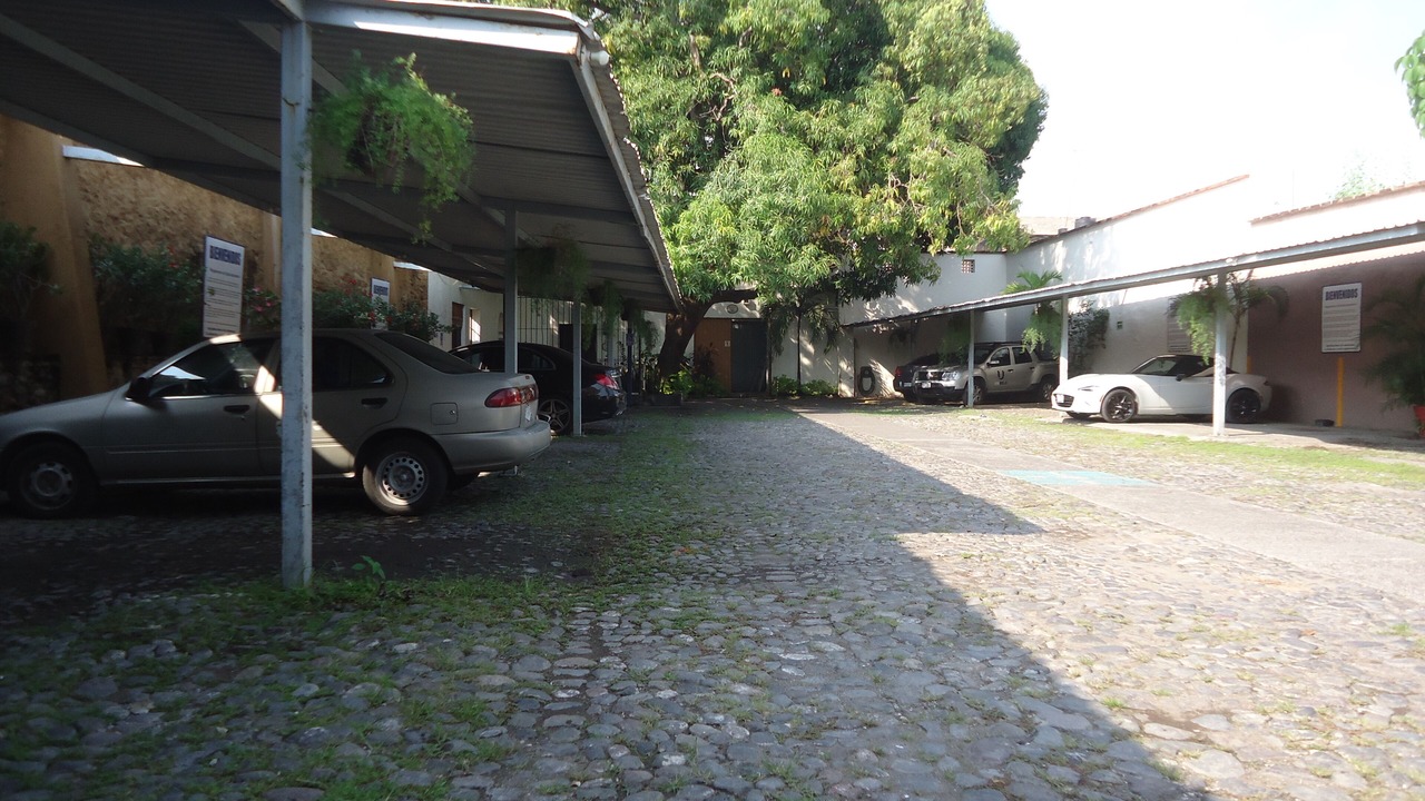 Photo of Others in Centro