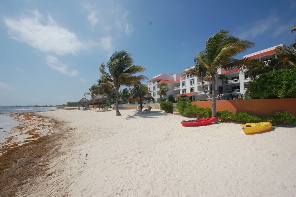Photo of Others in Puerto Morelos