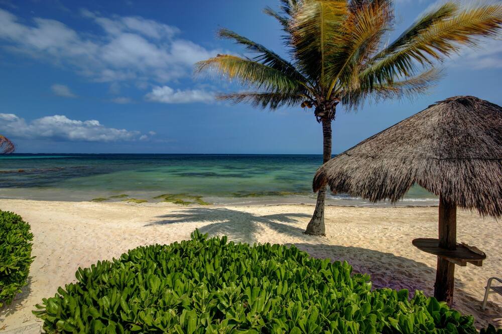 Photo of Others in Puerto Morelos