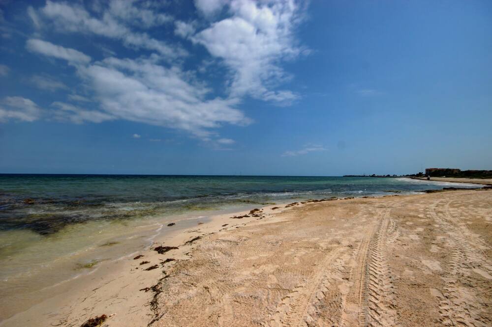 Photo of Others in Puerto Morelos