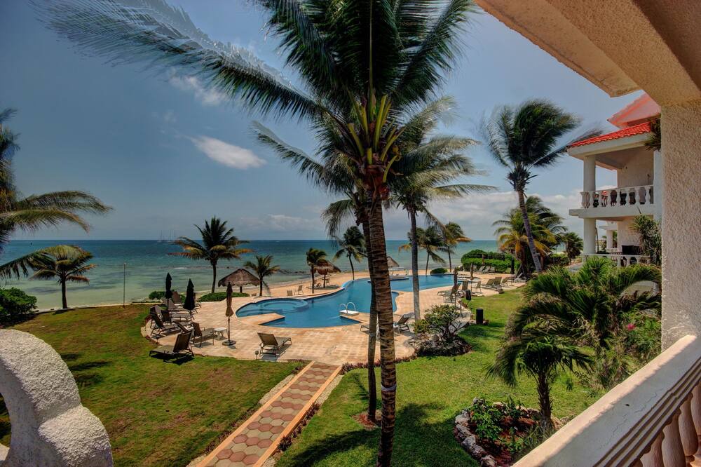 Photo of Others in Puerto Morelos