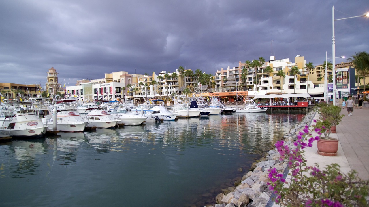 Photo of Others in Downtown Cabo San Lucas