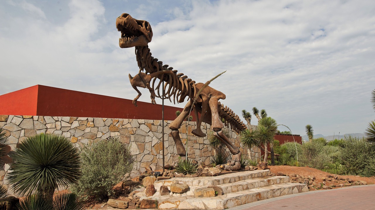 Photo of Outdoor in Saltillo