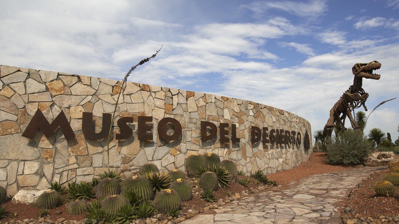 Photo of Outdoor in Saltillo