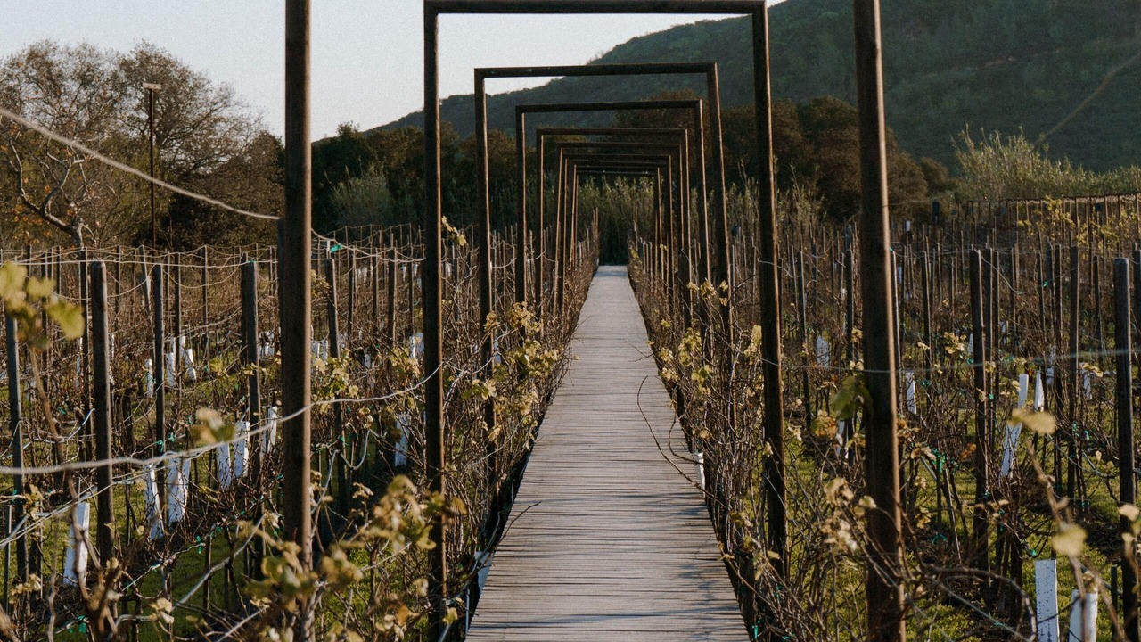 Photo of Outdoor in El Sauzal