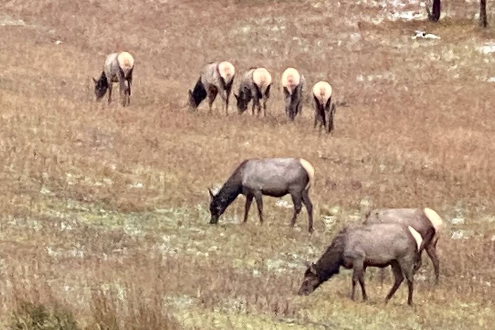 Photo of Outdoor in Thompson Falls