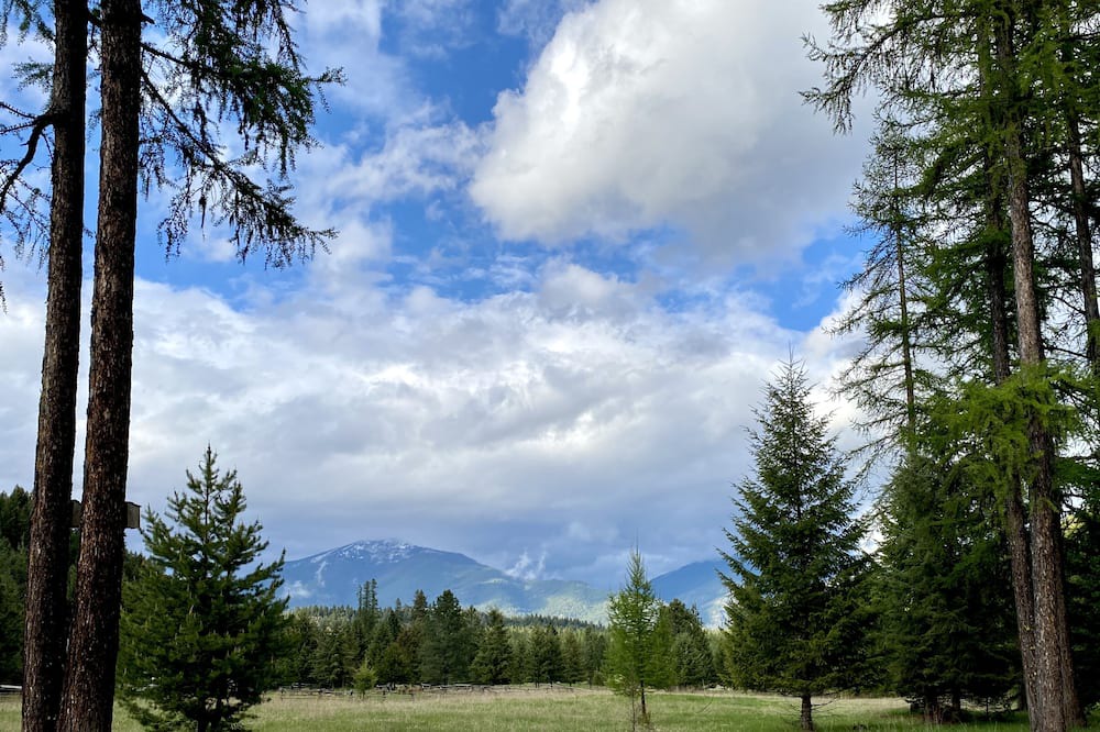 Photo of Outdoor in Thompson Falls