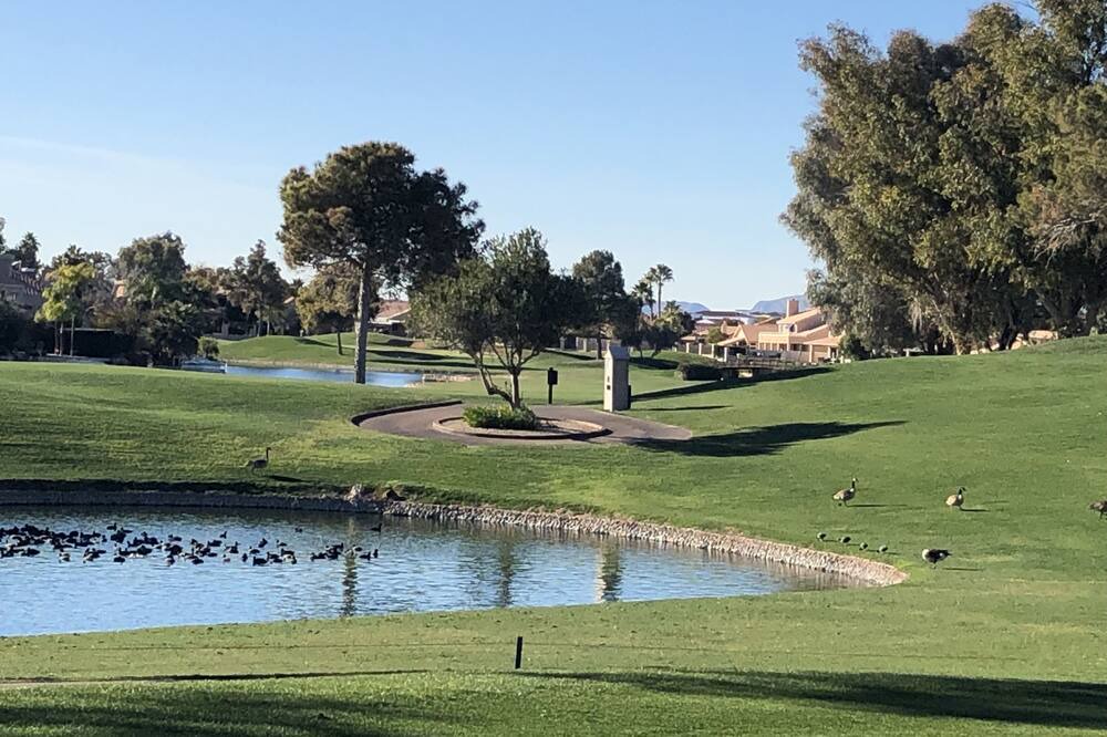 Photo of Others in Island at Ocotillo