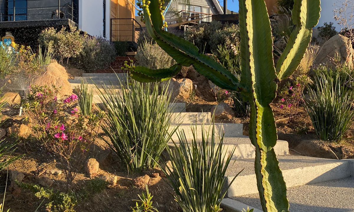 Photo of Outdoor in San Antonio de las Minas