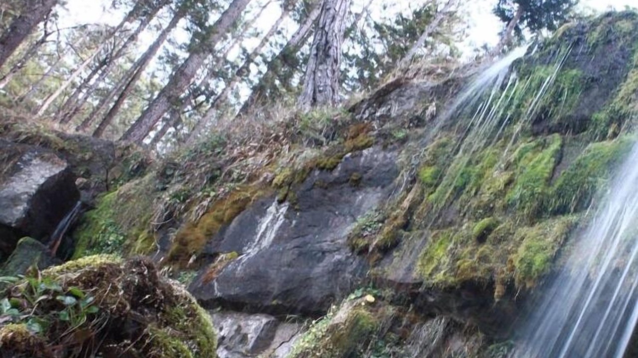 Photo of Others in El Salto