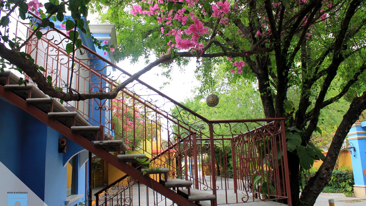 Photo of Outdoor in Matamoros