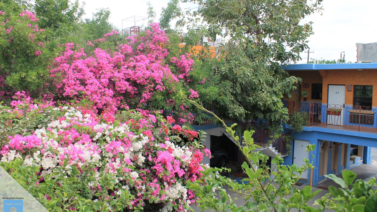 Photo of Outdoor in Matamoros