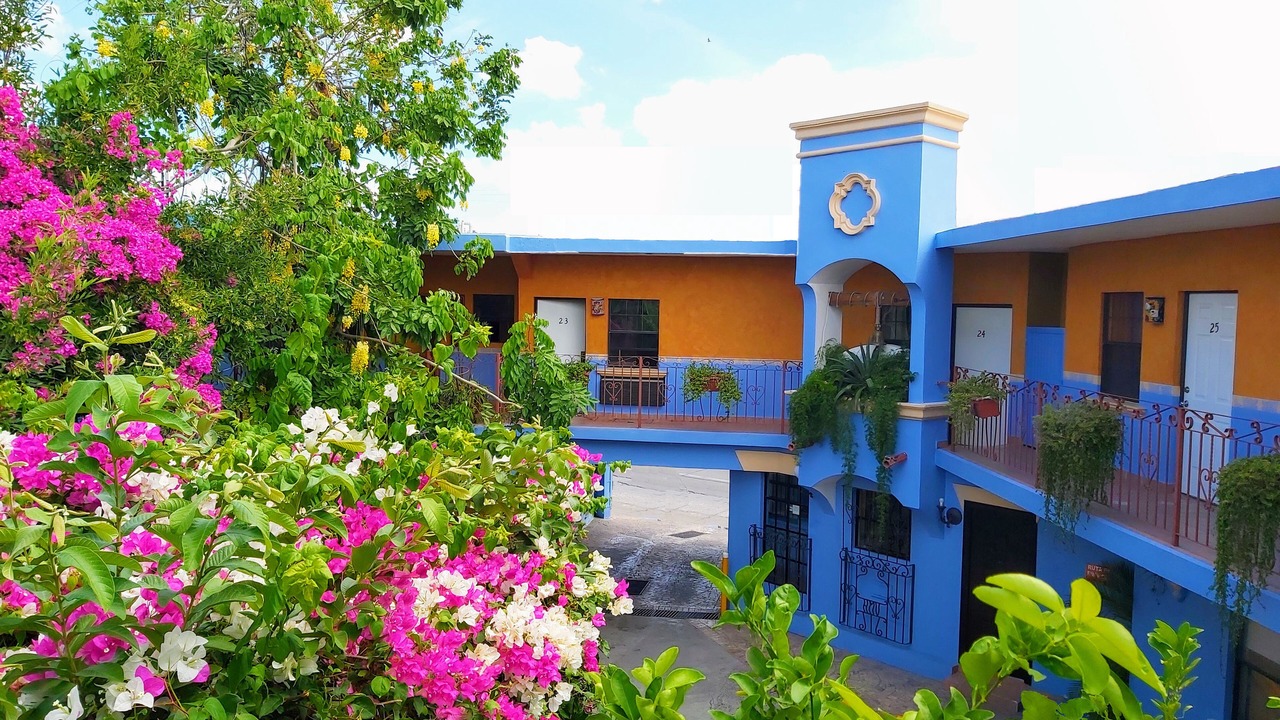 Photo of Outdoor in Matamoros