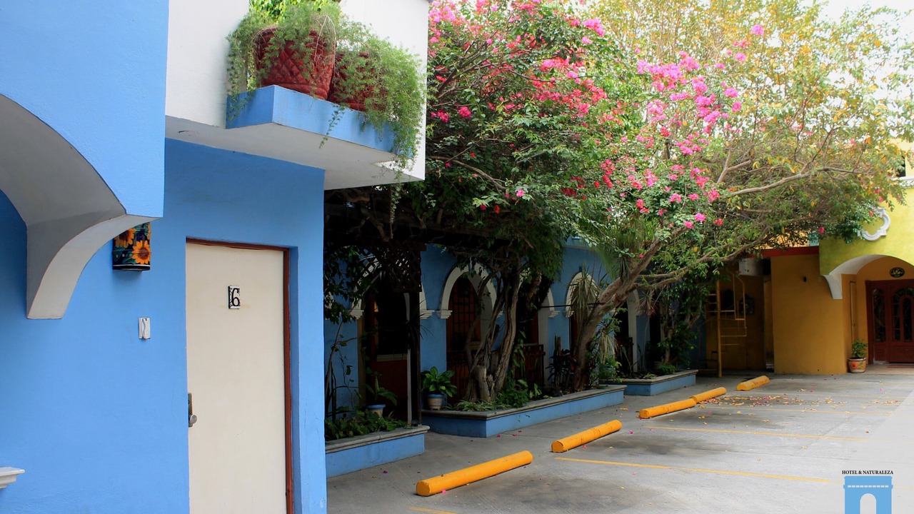 Photo of Outdoor in Matamoros