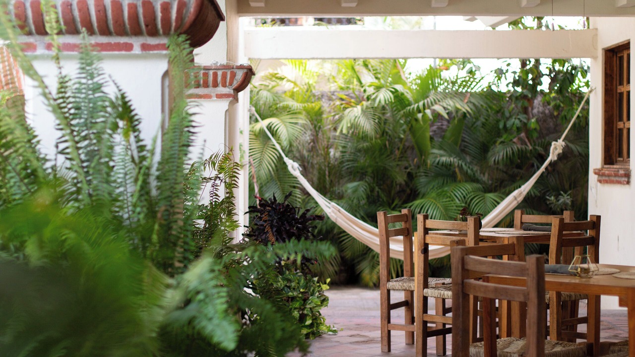 Photo of Others in Puerto Vallarta