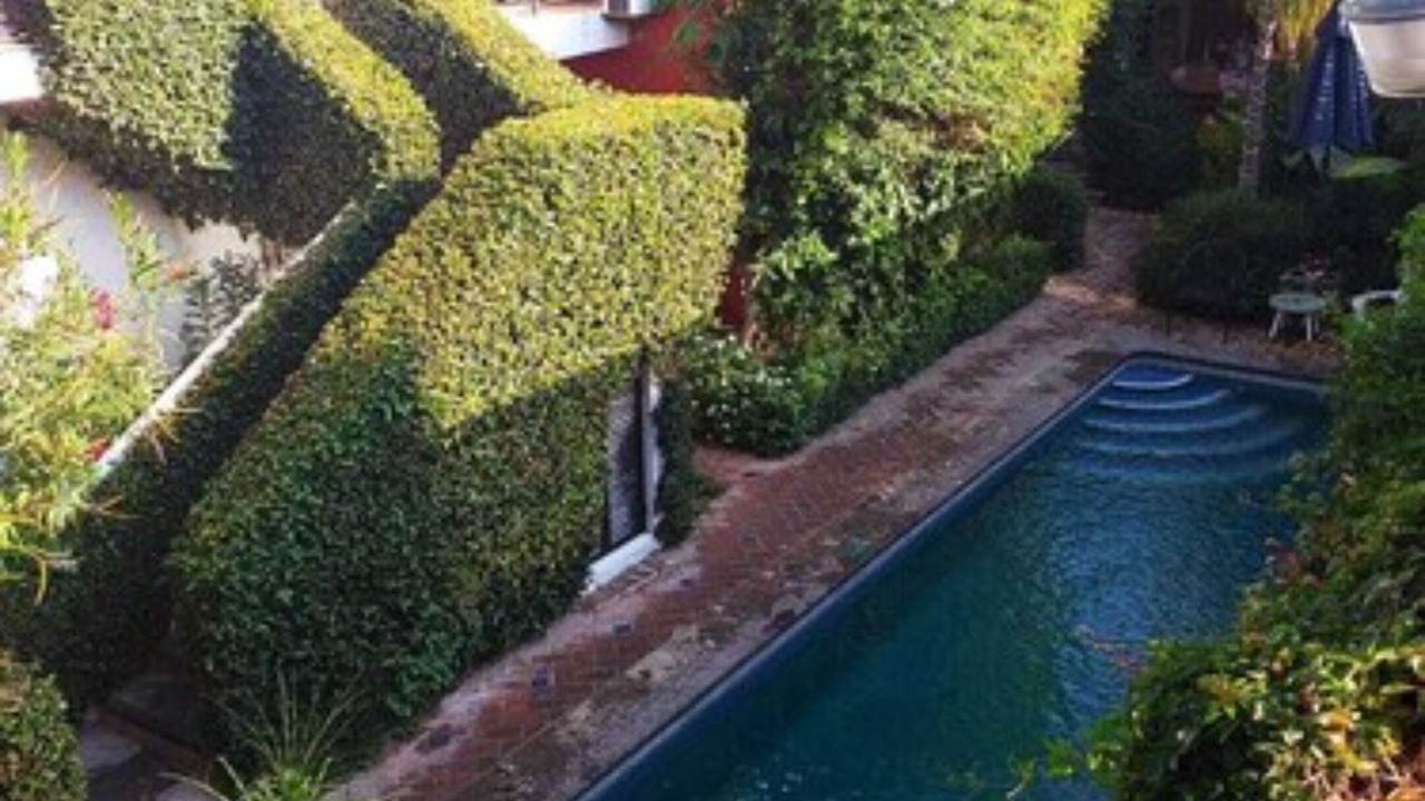 Photo of Outdoor in Ajijic