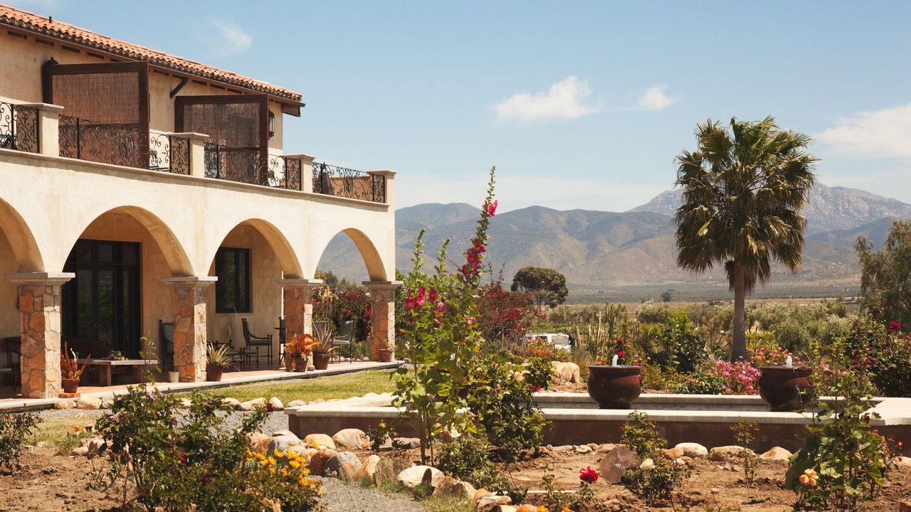 Photo of Outdoor in Valle de Guadalupe