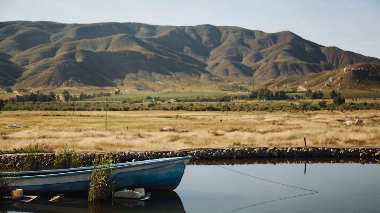 Photo of Others in Valle de Guadalupe