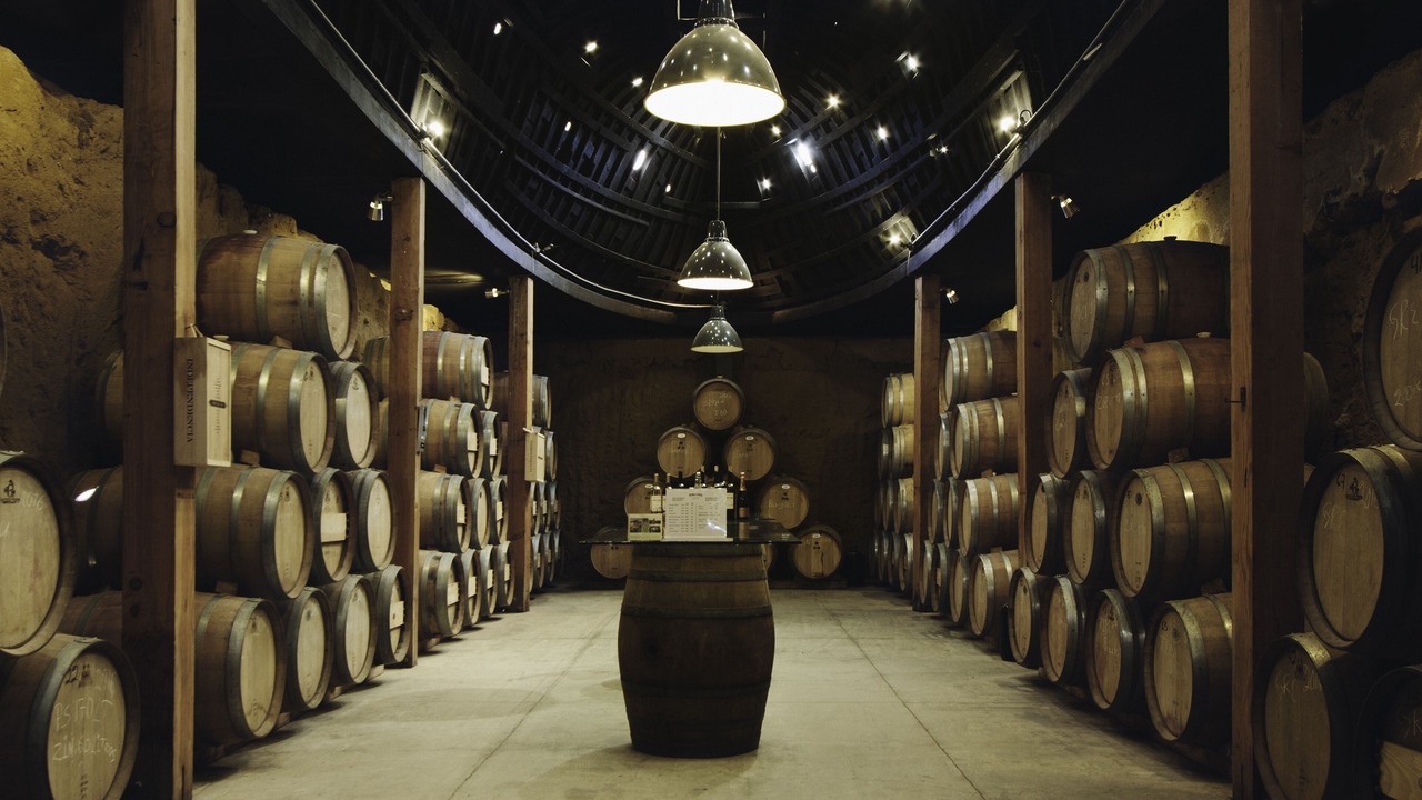 Photo of Others in Valle de Guadalupe