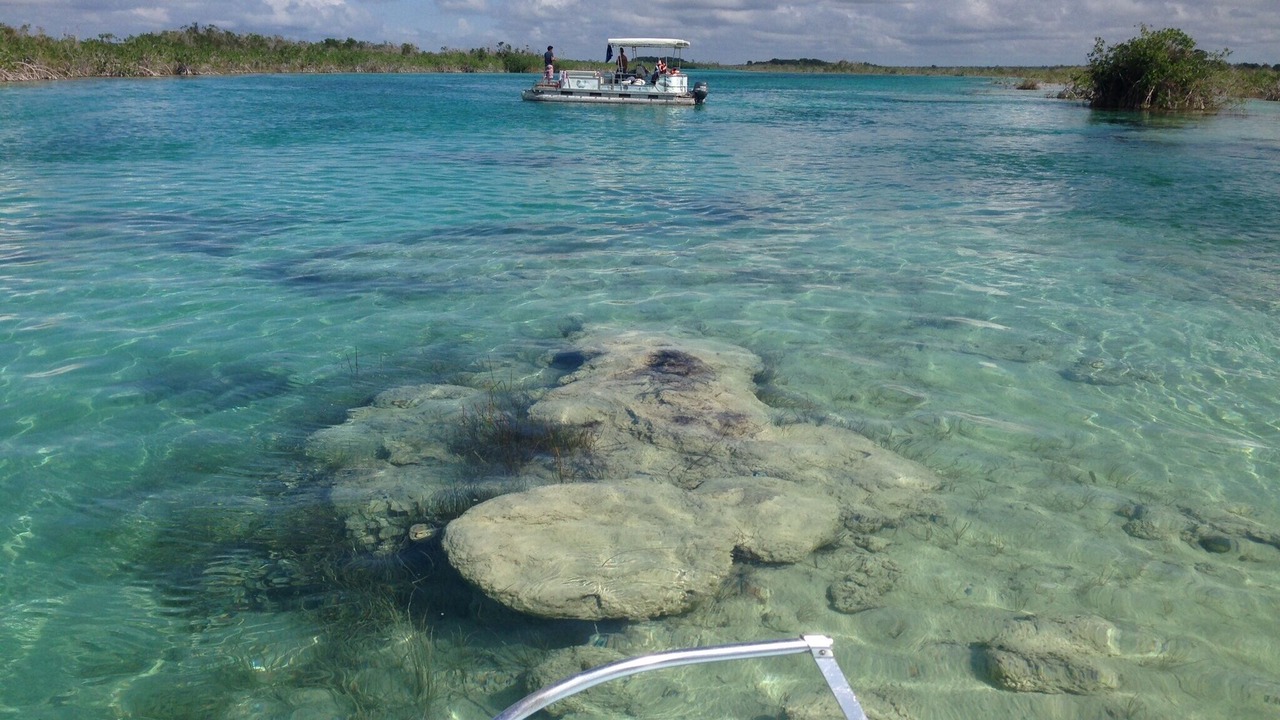 Photo of Others in Chetumal