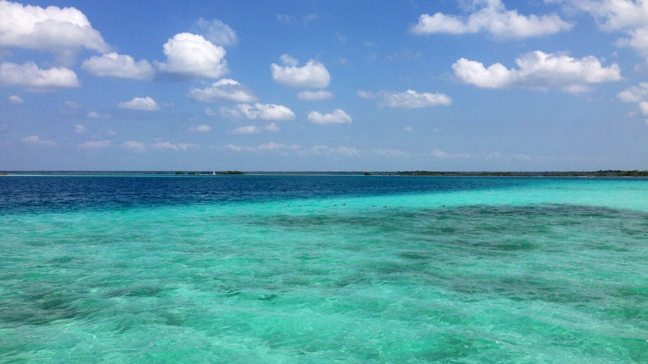Photo of Others in Chetumal