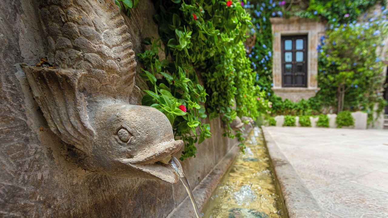 Photo of Outdoor in Zona Centro