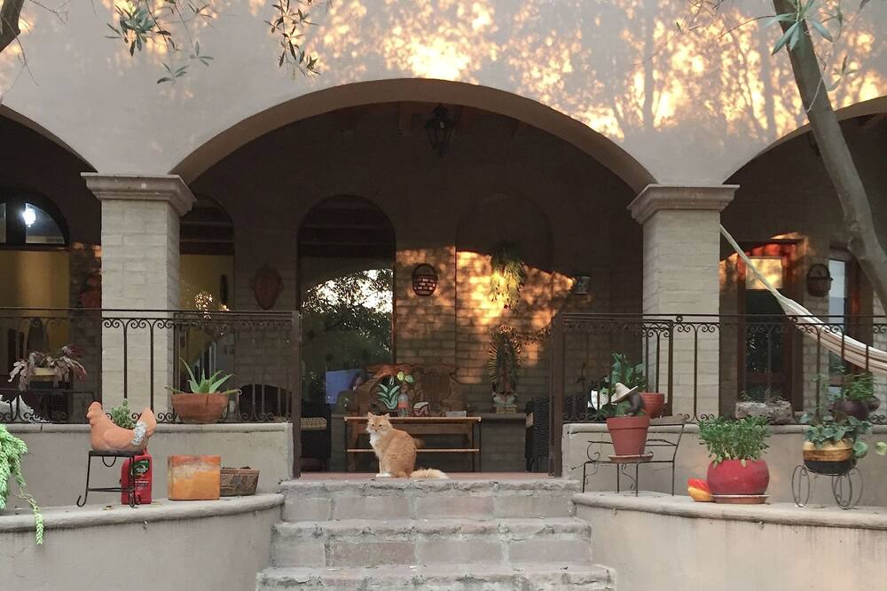 Photo of Outdoor in San Miguel de Allende