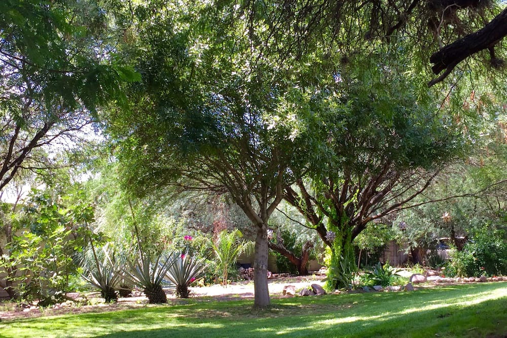 Photo of Outdoor in San Miguel de Allende