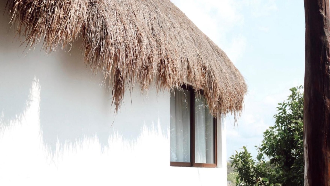Photo of Outdoor in Centro