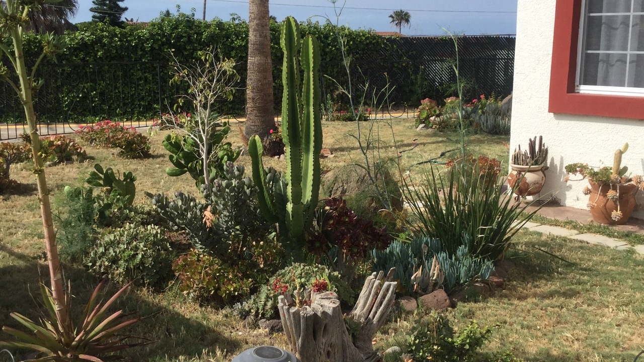 Photo of Outdoor in La Fonda
