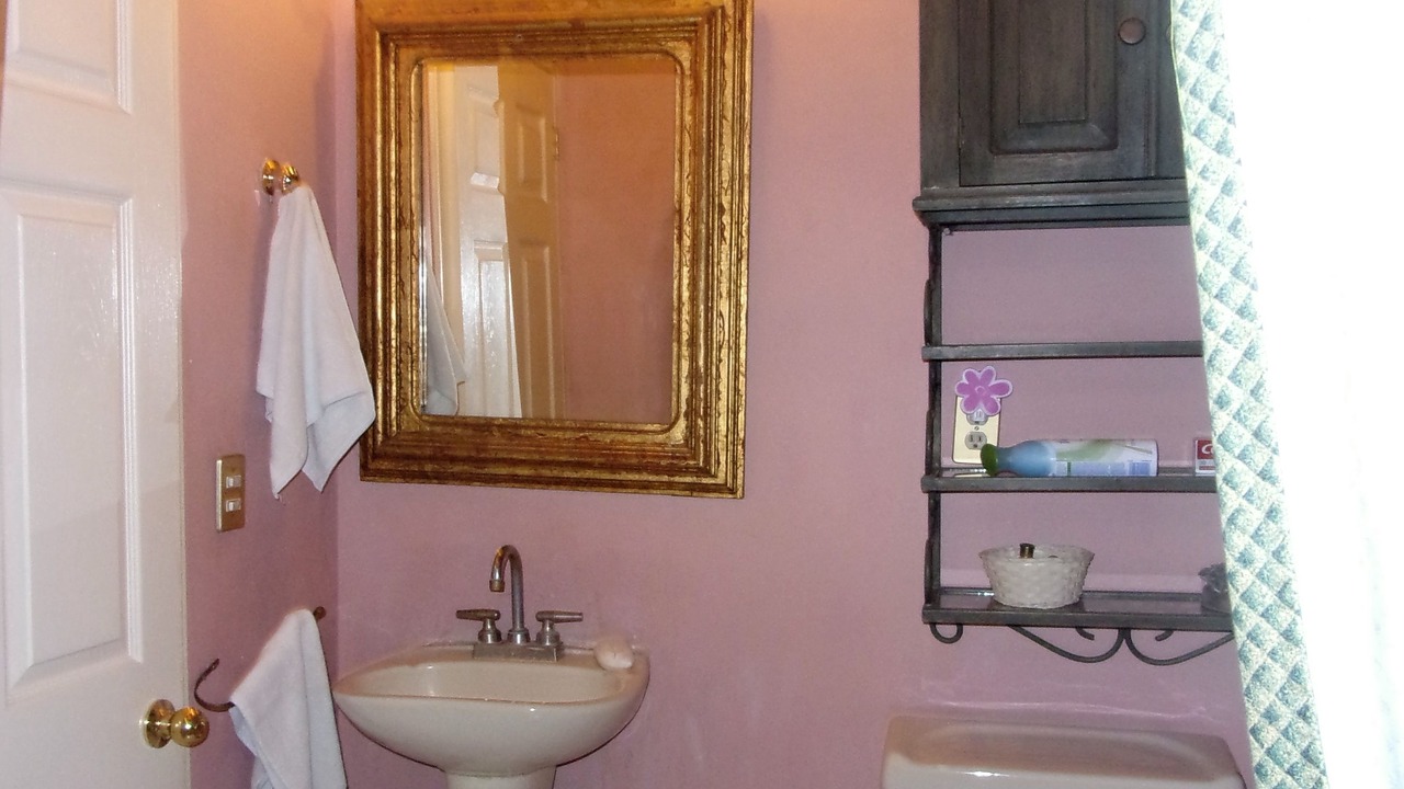 Photo of Bathroom in Ajijic