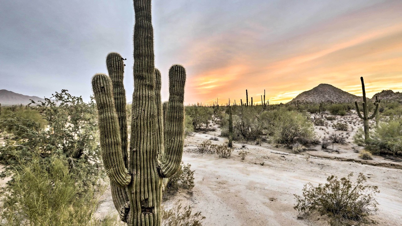 Photo of Others in Maricopa