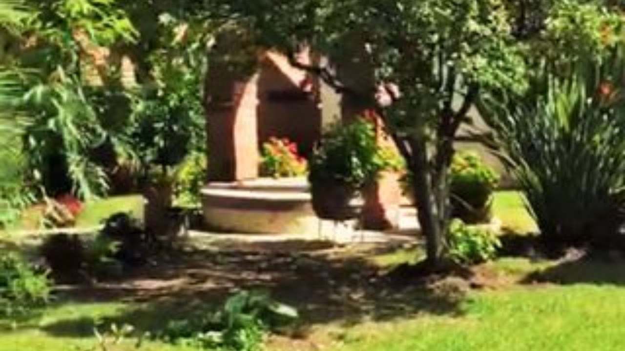 Photo of Outdoor in Jocotepec
