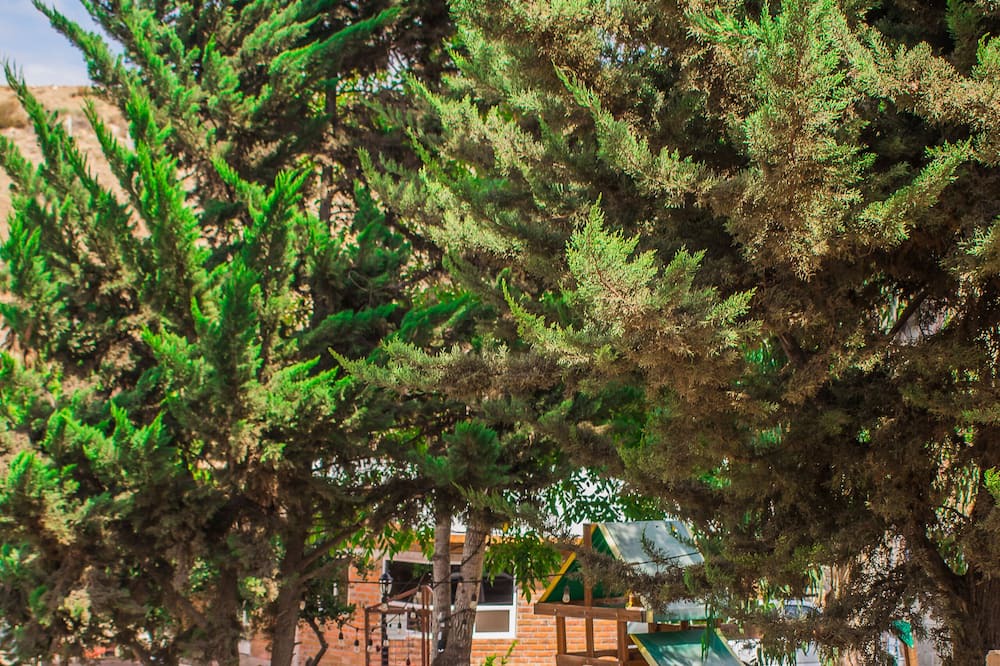 Photo of Outdoor in El Sauzal