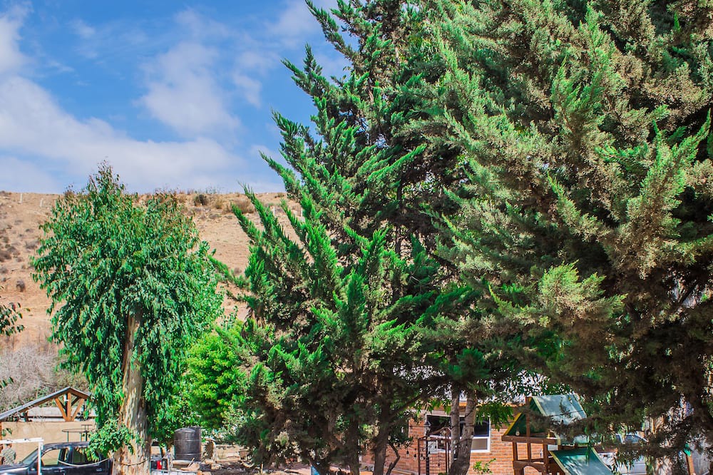 Photo of Outdoor in El Sauzal