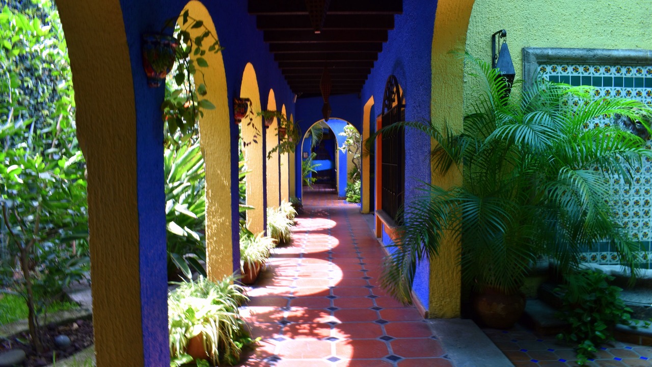 Photo of Others in Guadalajara
