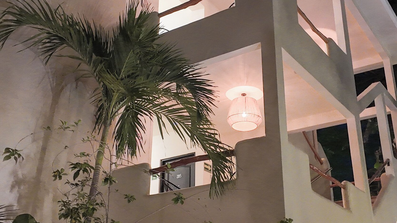 Photo of Outdoor in Palenque