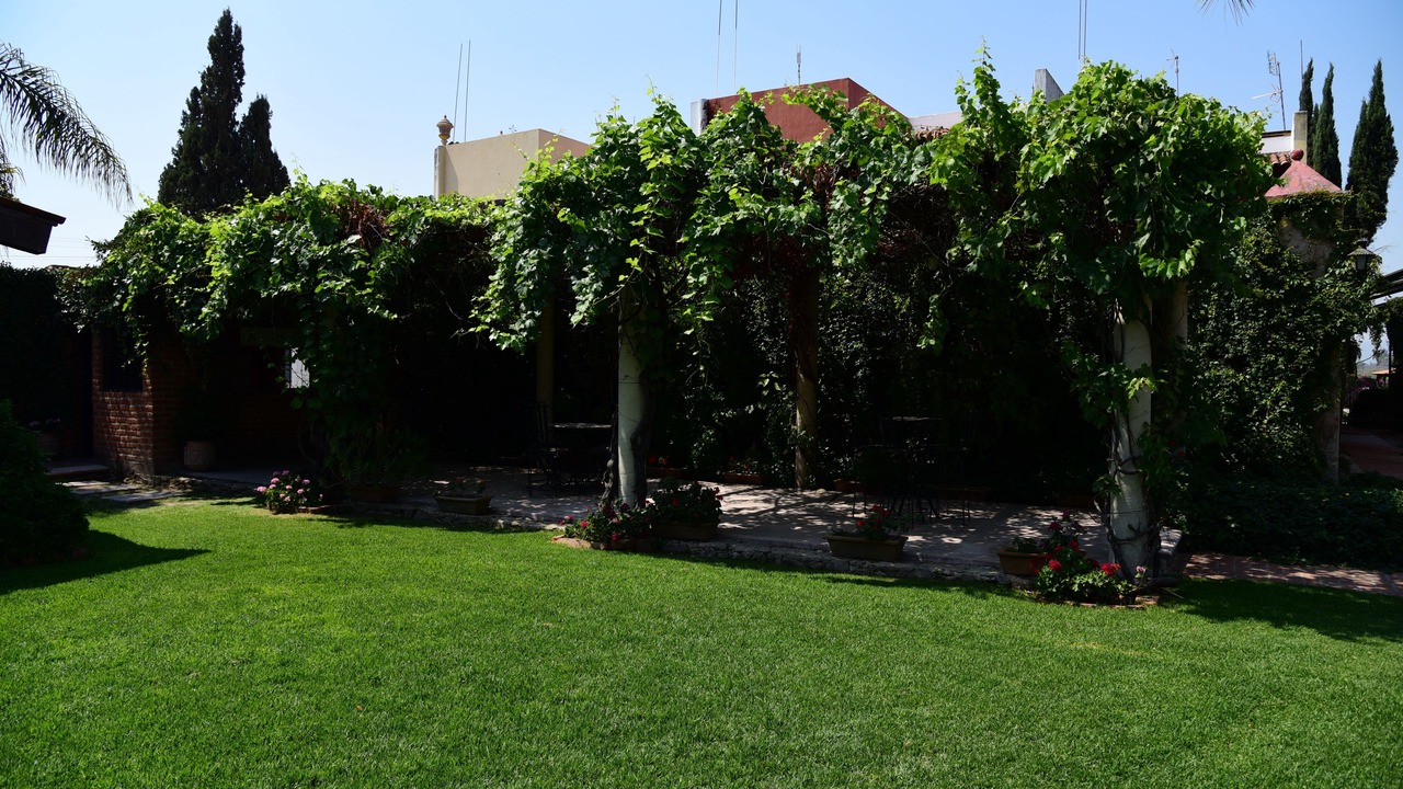 Photo of Outdoor in Zapopan