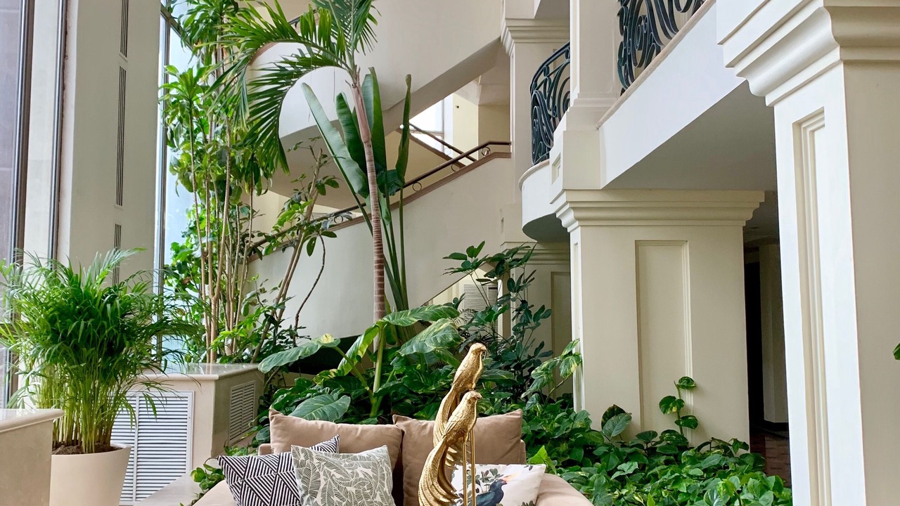 Photo of Patio Balcony in Torreon