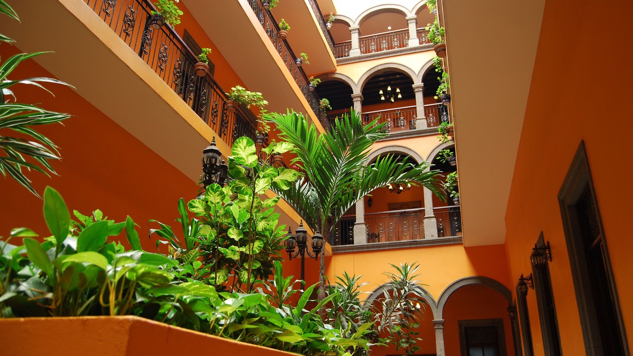 Photo of Others in Downtown Guadalajara